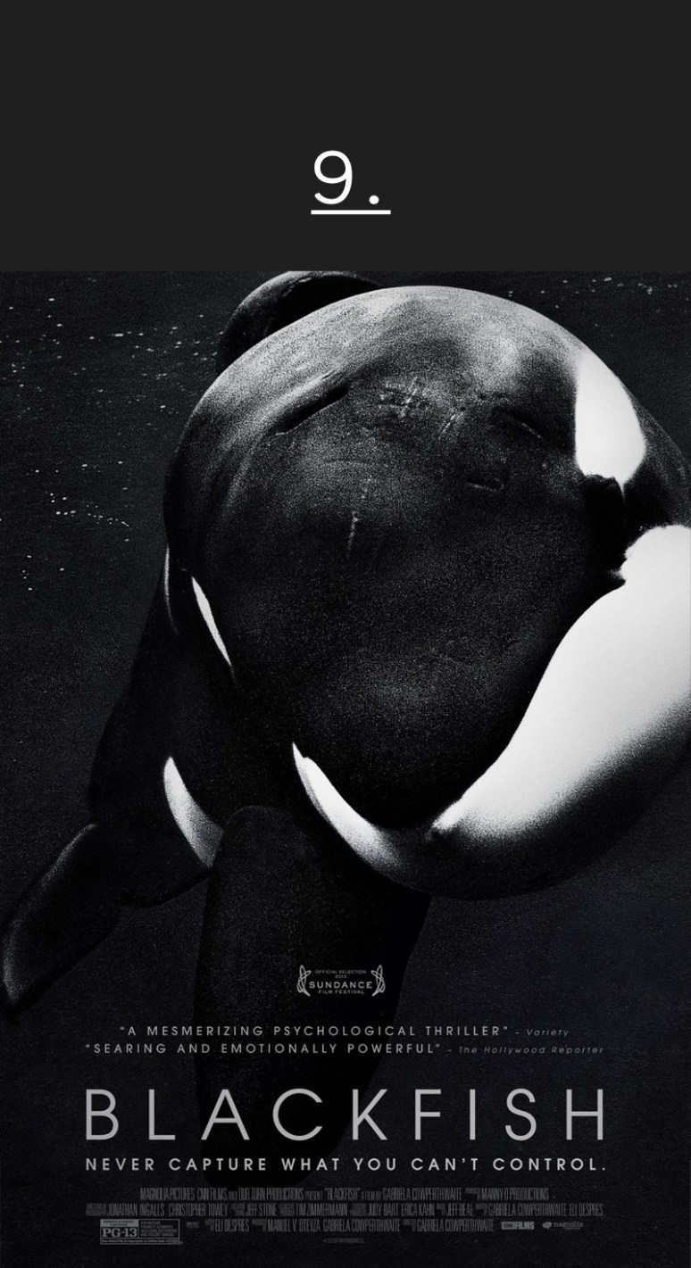 Blackfish