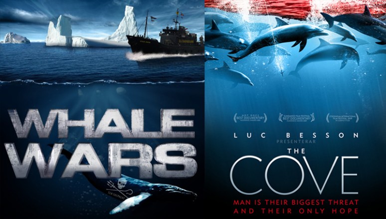 Whale Wars and The Cove