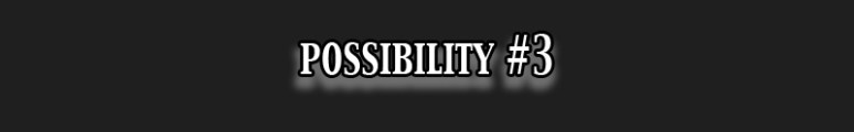 Possibility 3