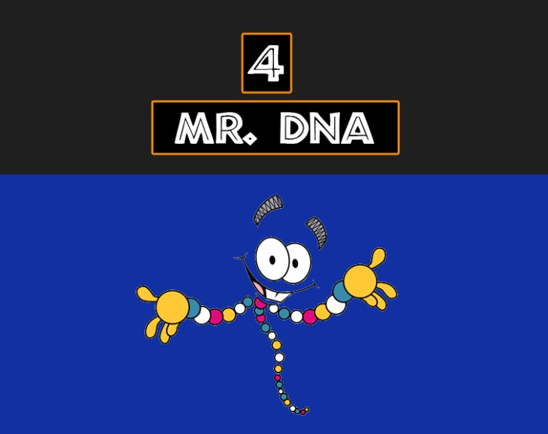 Mr. DNA