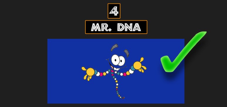 Mr_DNA