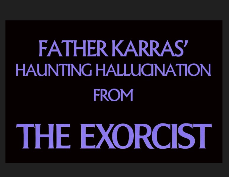 Karras_Hallucination