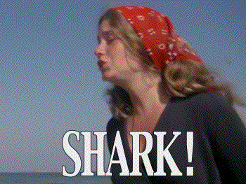 Shark.gif